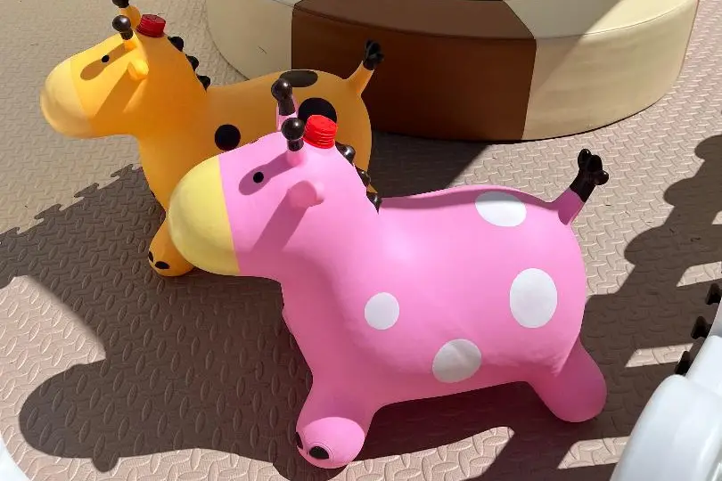 Didou Play — photo 2