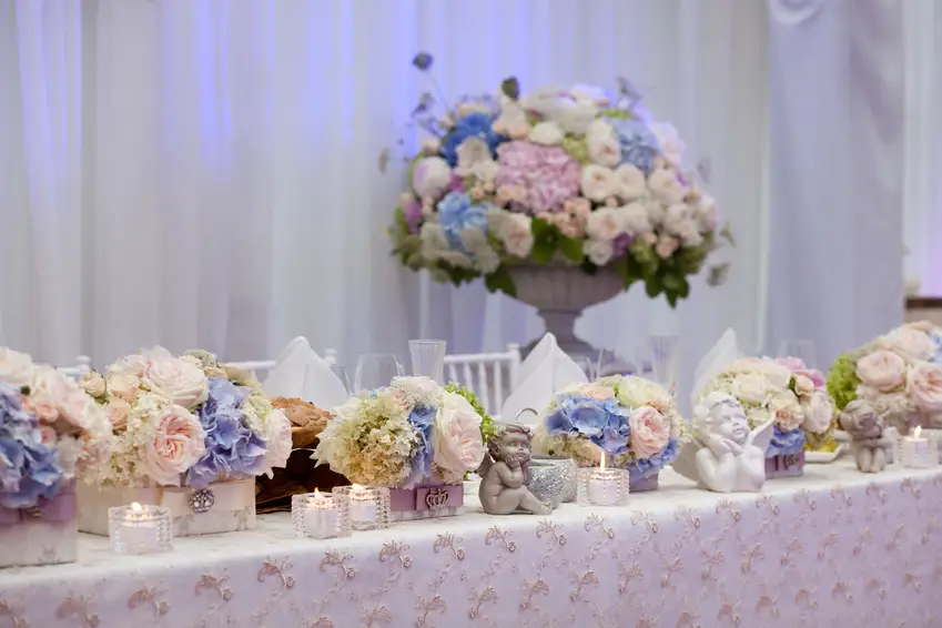 Dely Design — photo 5