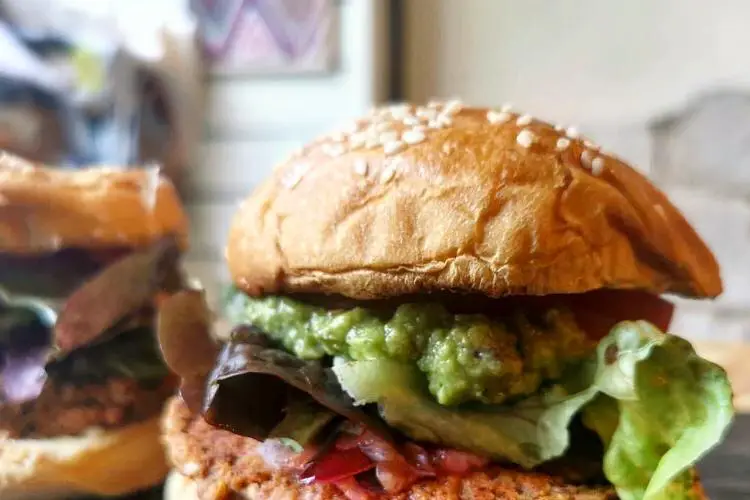 La Cantina de Gloria — photo 5