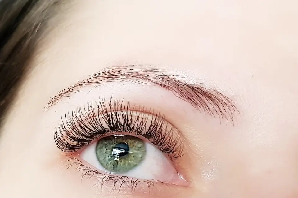 Beauté du Regard — photo 7