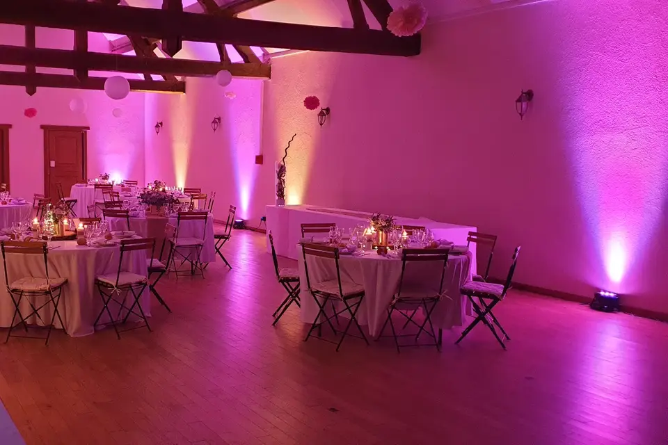 Adi Anim — photo 3