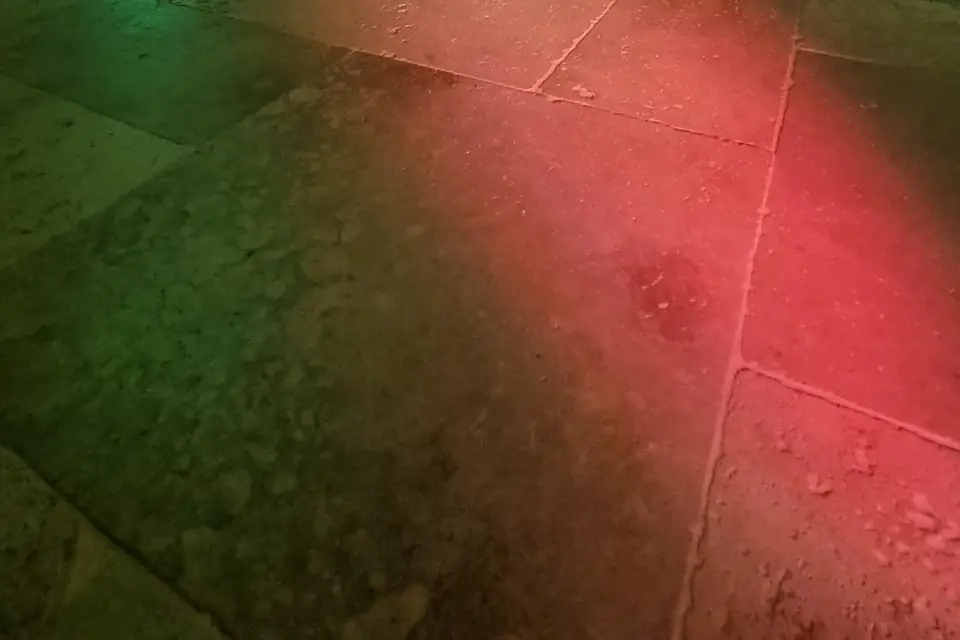 Adi Anim — photo 4