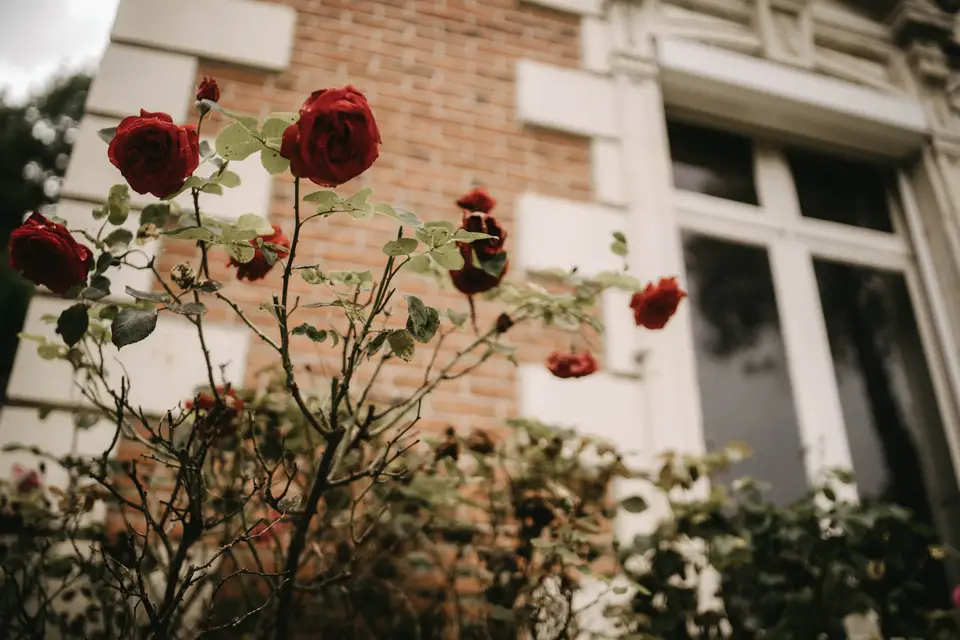 La Mulotière — photo 6