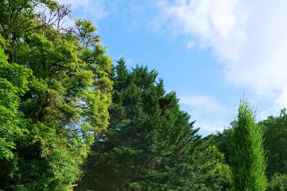 La Mulotière — photo 4