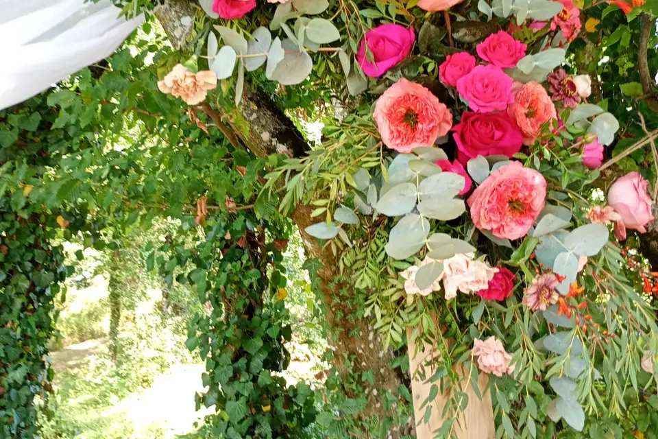 A Rose Emoi — photo 4