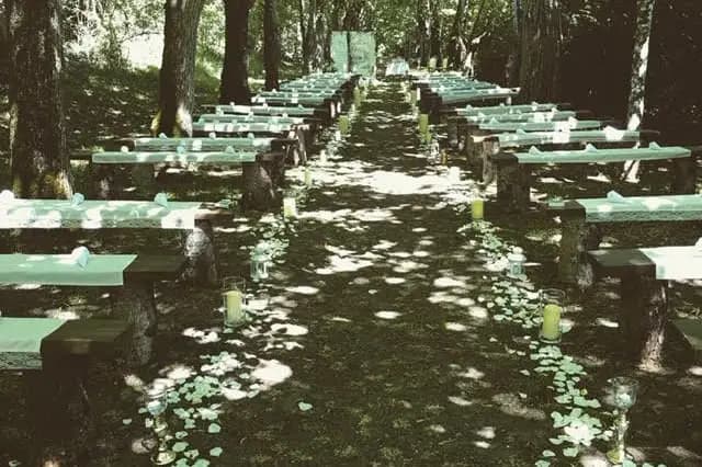 Florilys — photo 8