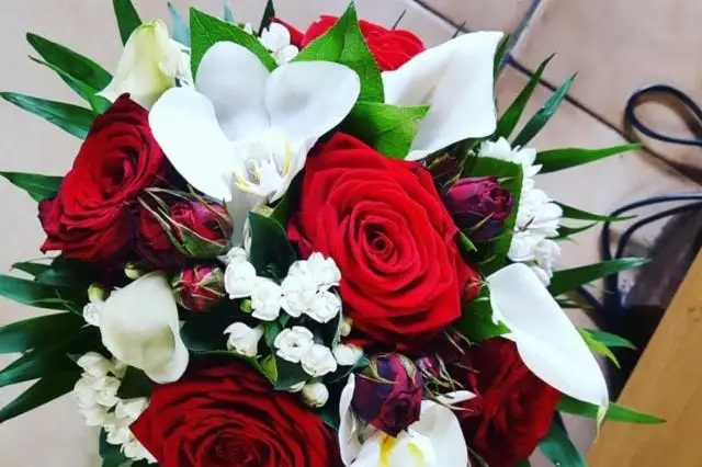 Florilys — photo 1