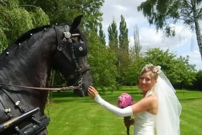 Les Écuries de Saint-Aubert — photo 2