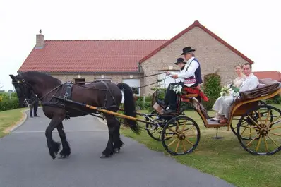 Les Écuries de Saint-Aubert — photo 4