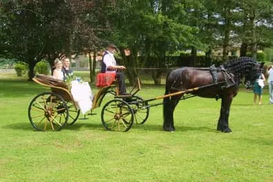 Les Écuries de Saint-Aubert — photo 5