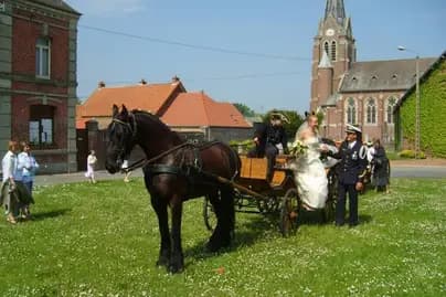 Les Écuries de Saint-Aubert — photo 1