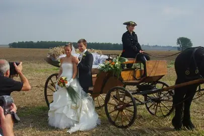 Les Écuries de Saint-Aubert — photo 6