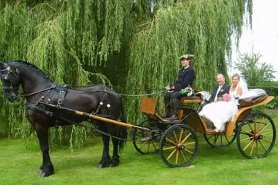 Les Écuries de Saint-Aubert — photo 7