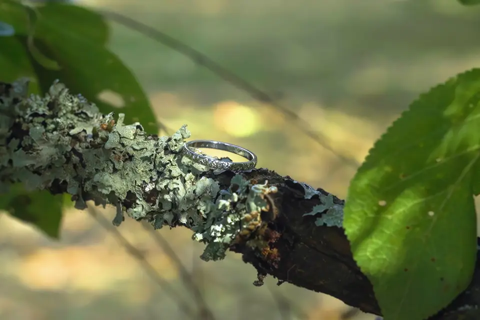 Marmedia — photo 7