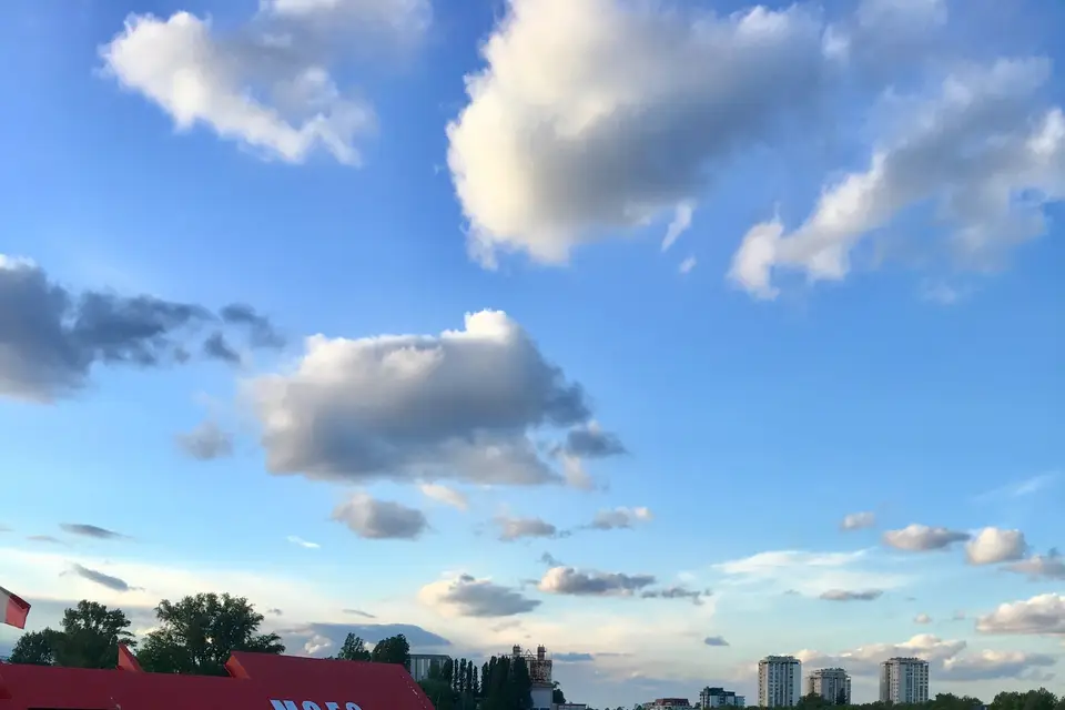 Voiture de Mariage — photo 6