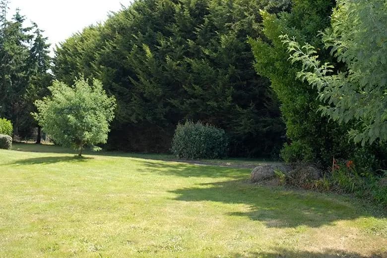 Au Chêne Vert — photo 6