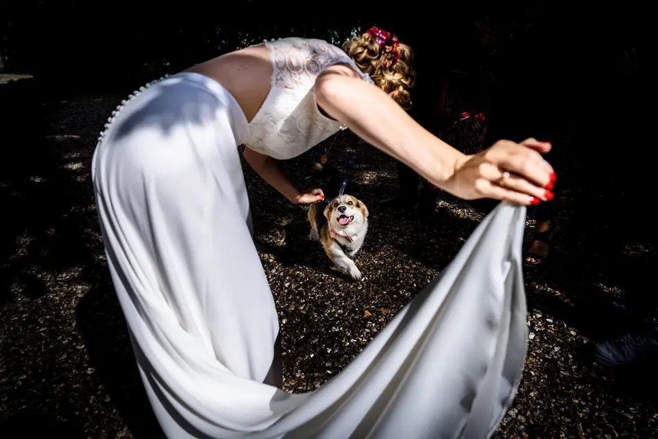 Benjamin Brette — photo 3