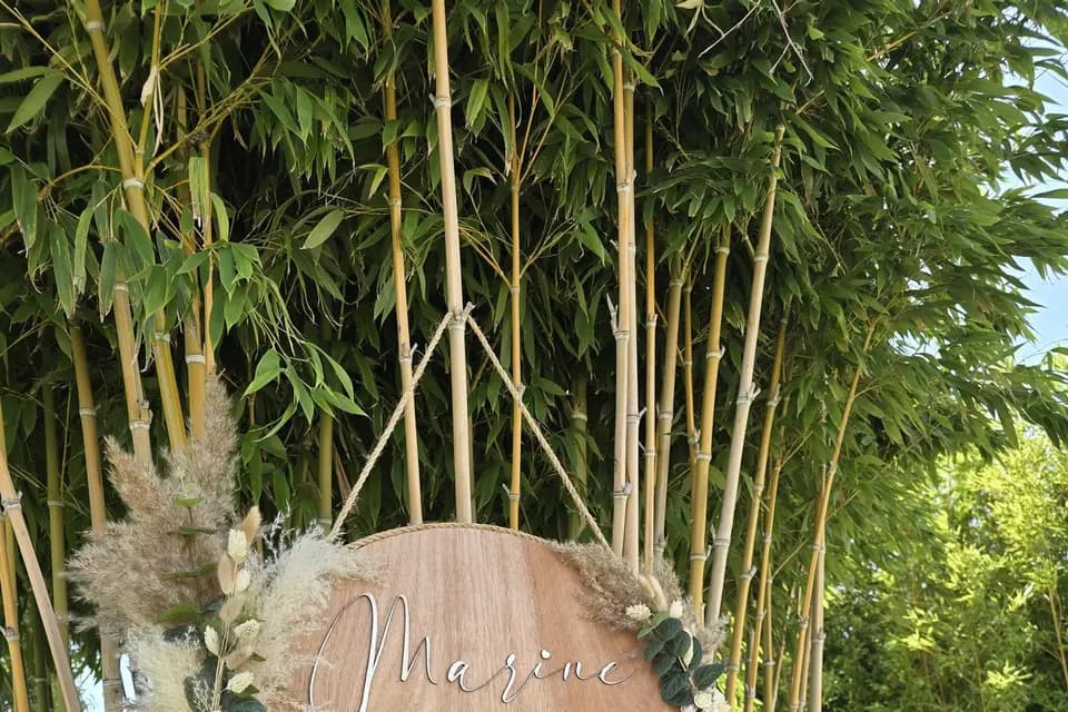 La Cigale Du Sud — photo 7