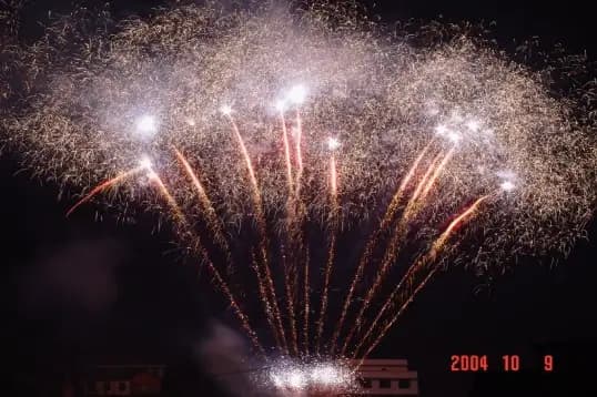 La Festive — photo 2