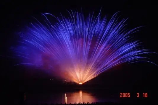 La Festive — photo 6