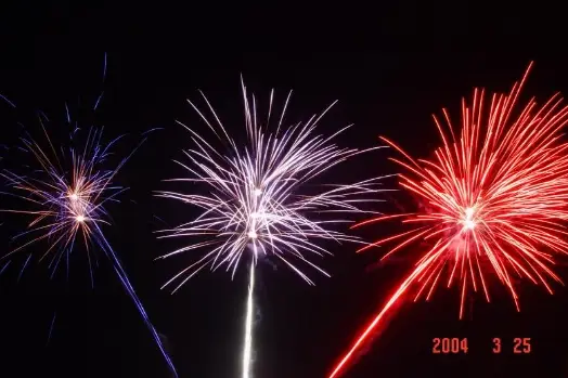 La Festive — photo 7