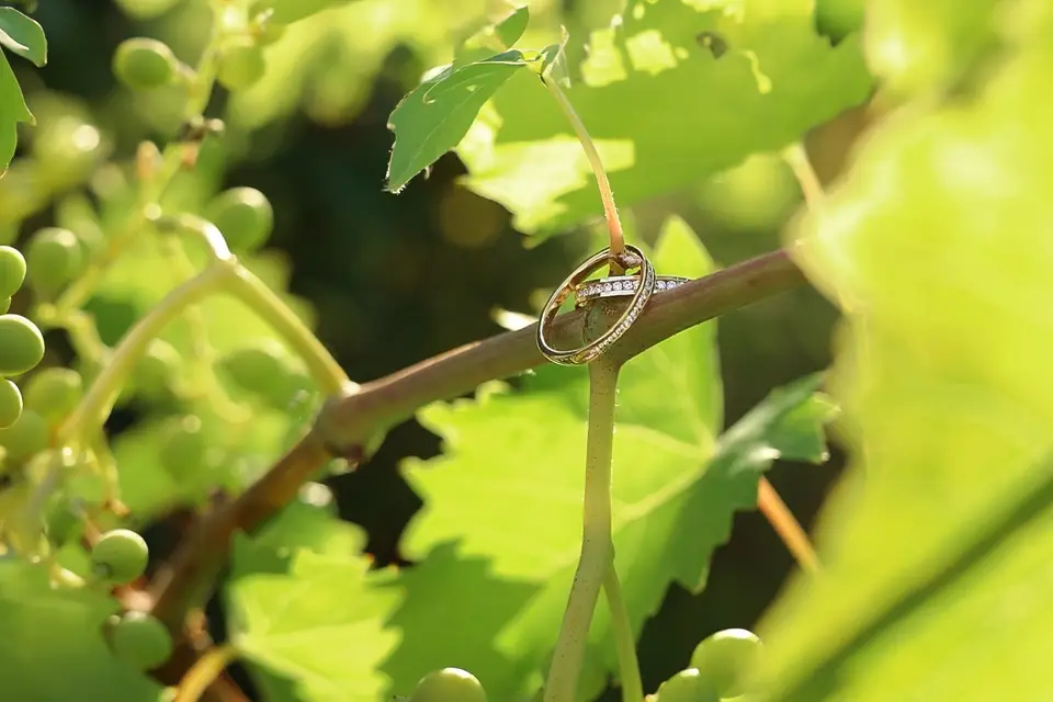 HelixNcam — photo 5