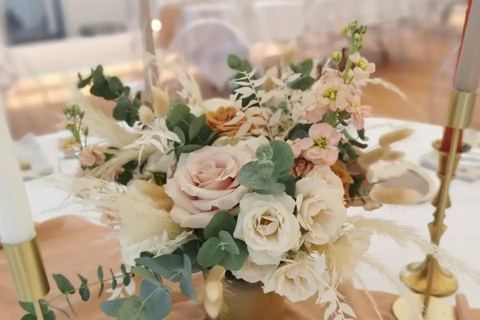 Alchemilla — photo 1