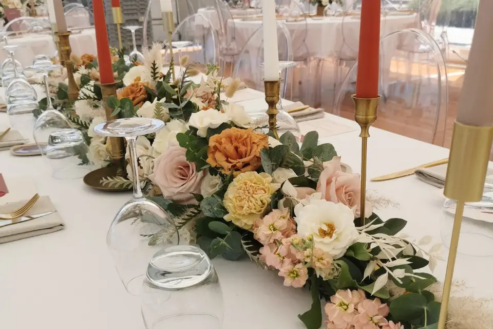 Alchemilla — photo 6