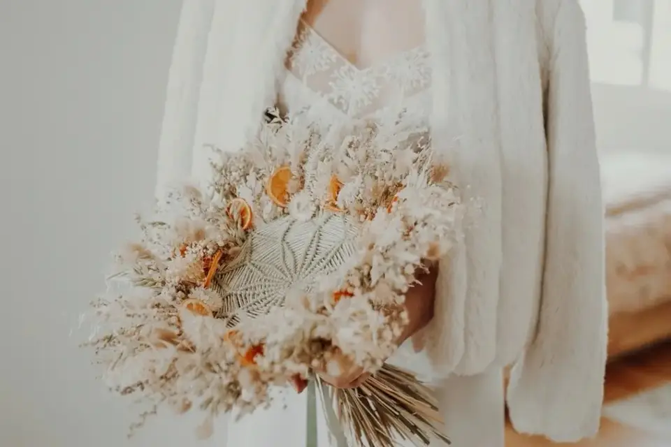 Alchemilla — photo 7