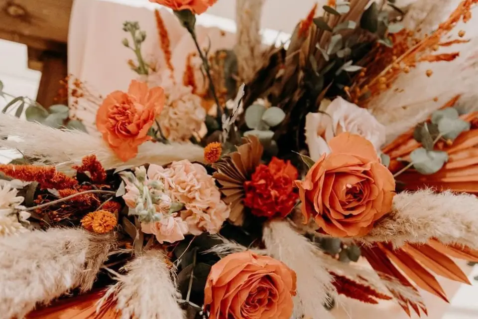 Alchemilla — photo 8