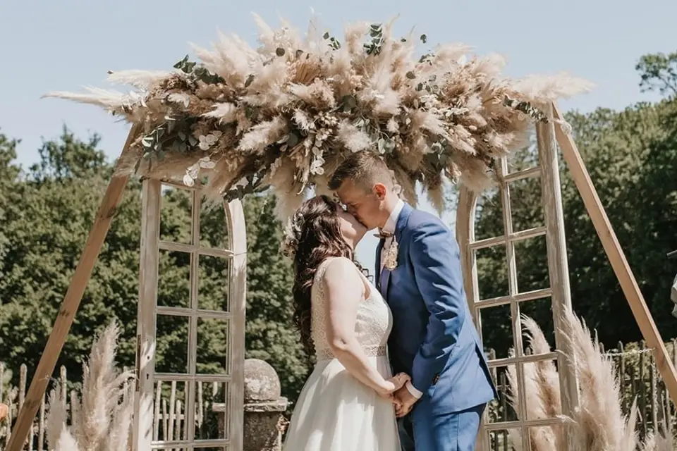 Alchemilla — photo 3