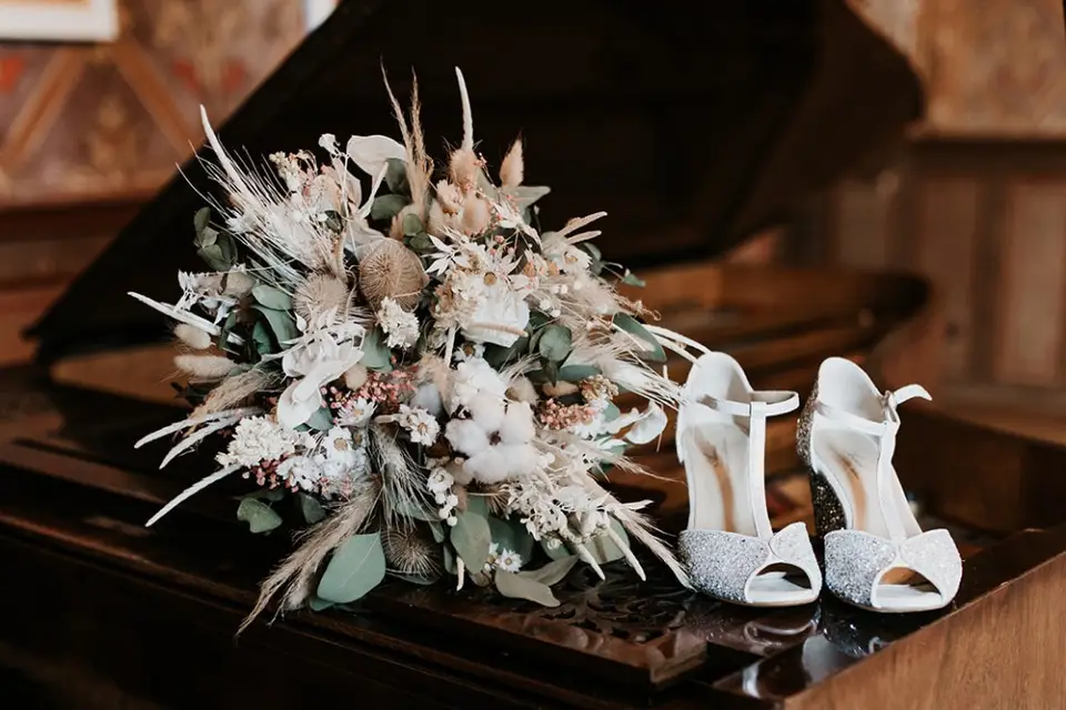 Alchemilla — photo 4