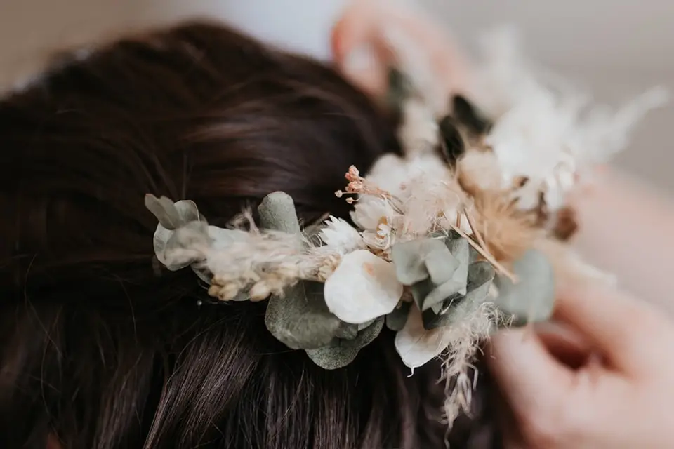 Alchemilla — photo 5