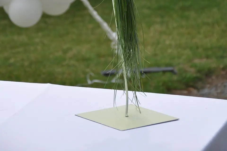 AF Créations — photo 8