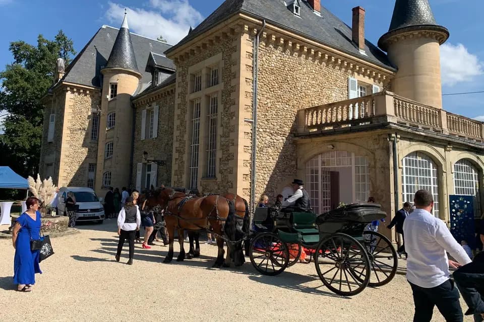 Château Fedora — photo 2