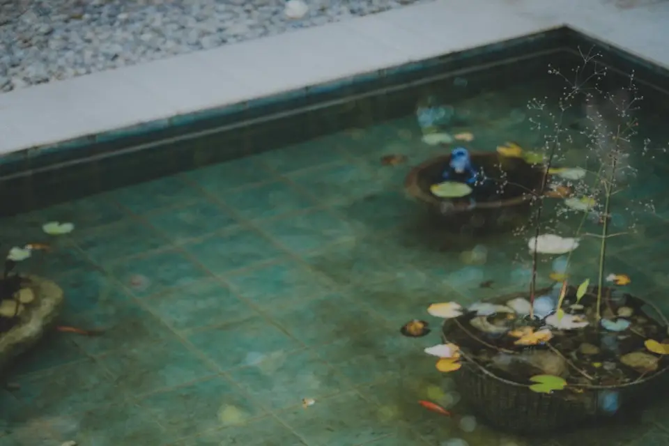 Lilie Bedos — photo 8