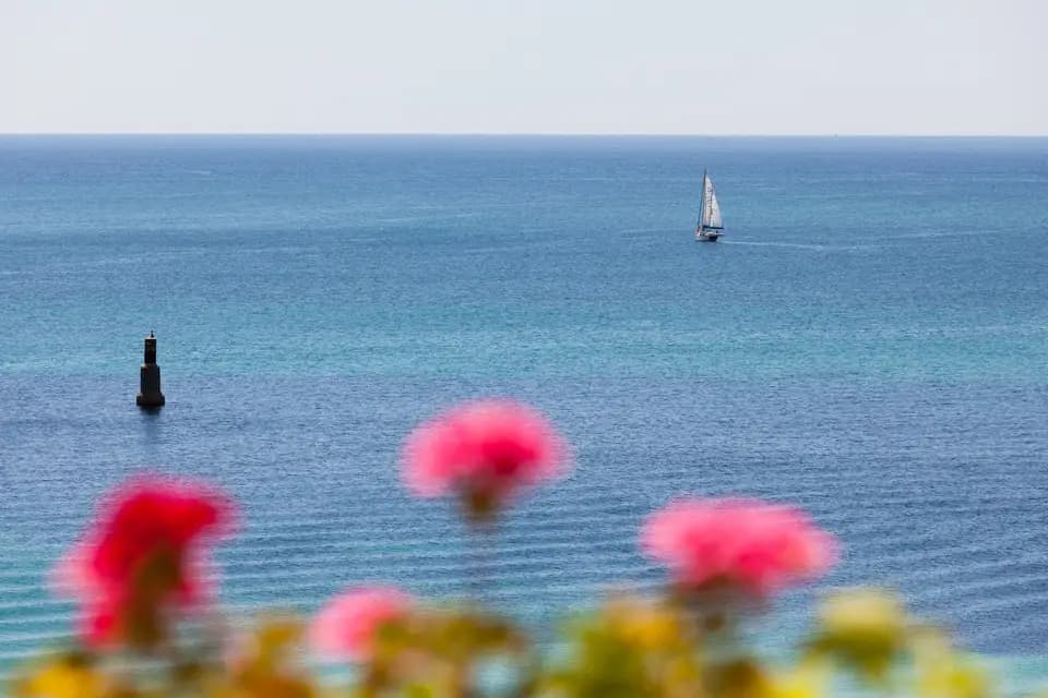 Hôtel de la Plage — photo 1