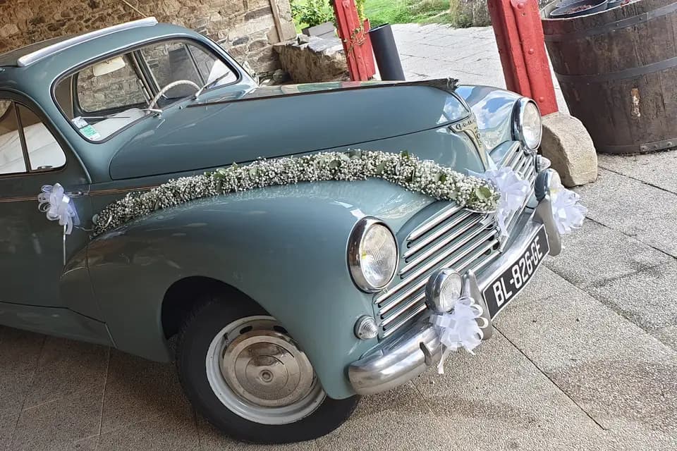 Les Fleurs de Mary'Lys — photo 6