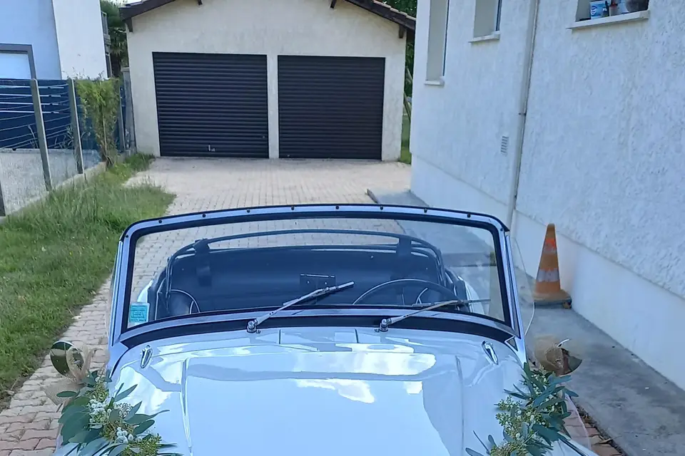 La Nature Fleurie — photo 3