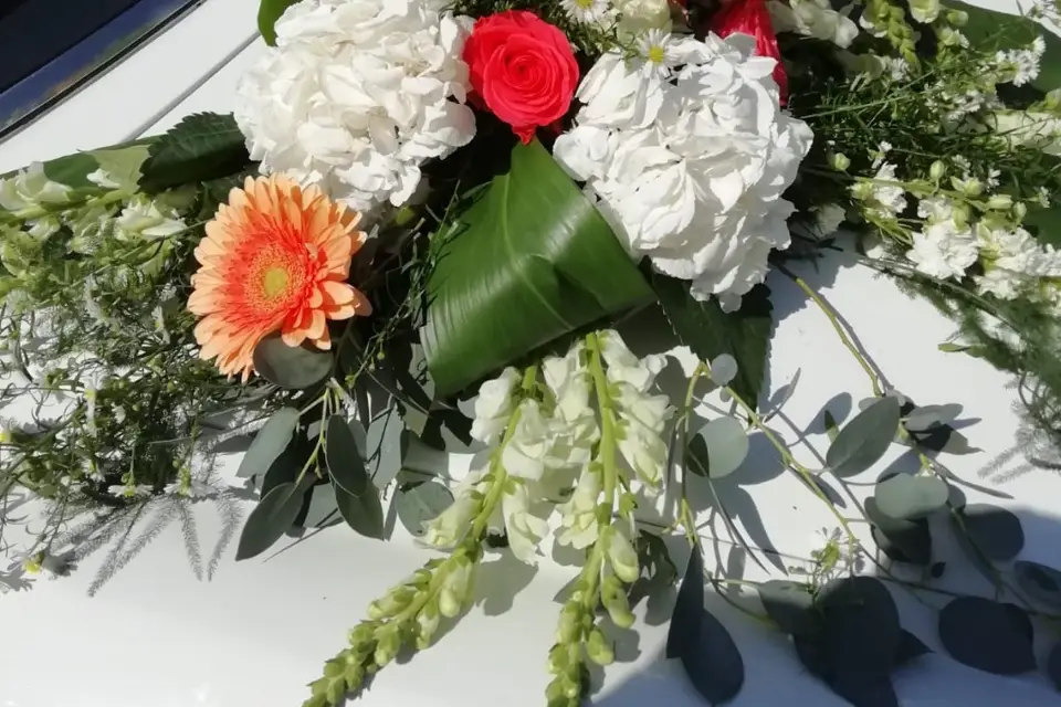 L'atelier de Laurent — photo 8