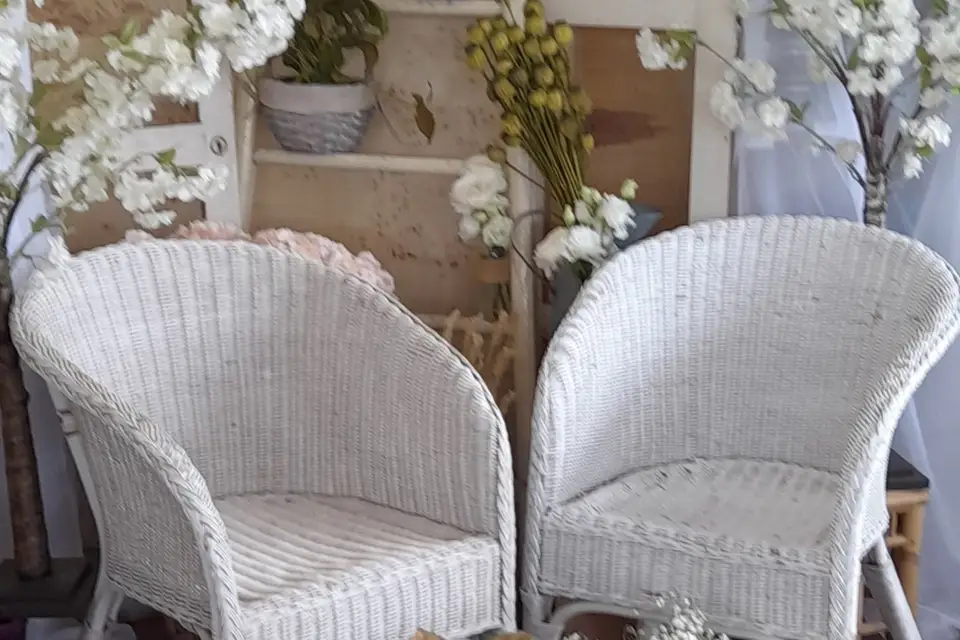 Rose de Vigne — photo 2