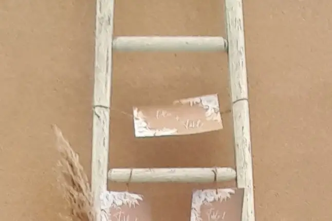 Rose de Vigne — photo 5