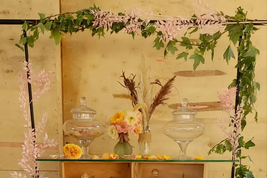 Rose de Vigne — photo 1