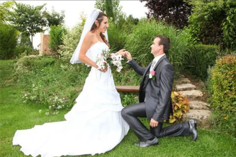 Night and Dream Show — photo 1