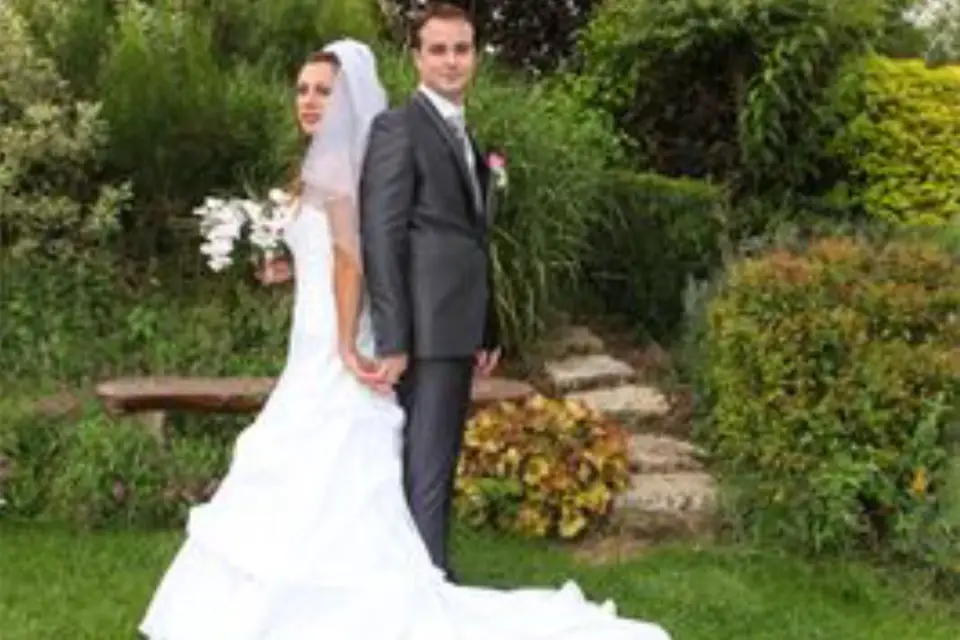 Night and Dream Show — photo 2