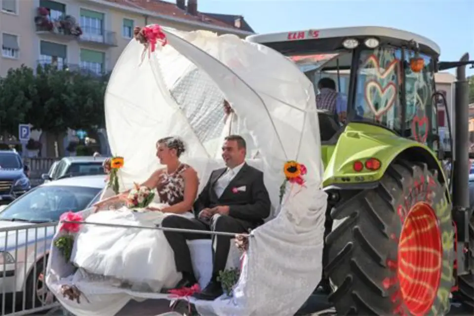 Night and Dream Show — photo 8