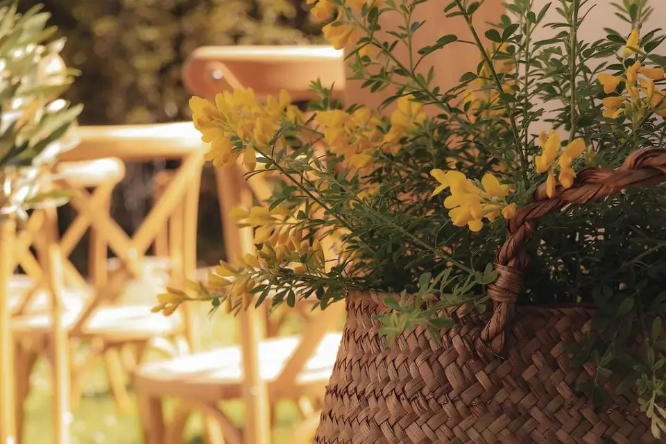 Jardins Jacqueline — photo 7