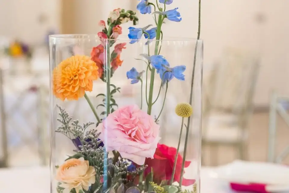 Jardins Jacqueline — photo 8