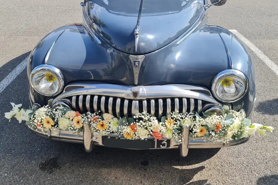 Kapucine — photo 8