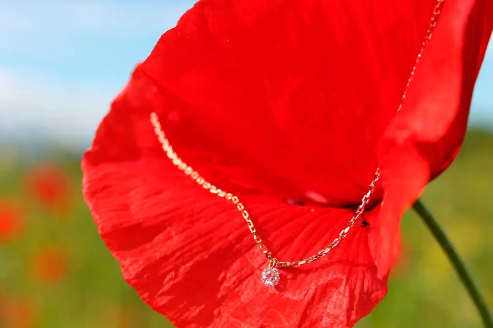 Jana Rose Paris — photo 6